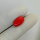 Coral (Moonga) 4.35 Ct Certified Coral (Moonga) 4.35 Ct Certified
